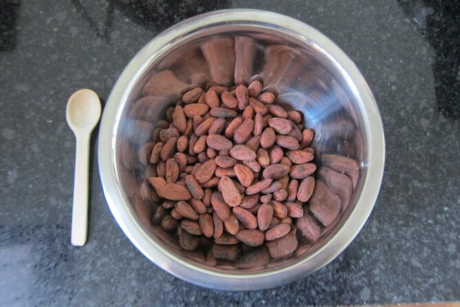 Artisanal Chocolate Bean to Bar Workshop in Cancún - Reviews and Testimonials