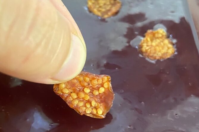 Artisanal Chocolate: From the Garden to the Table - Key Points