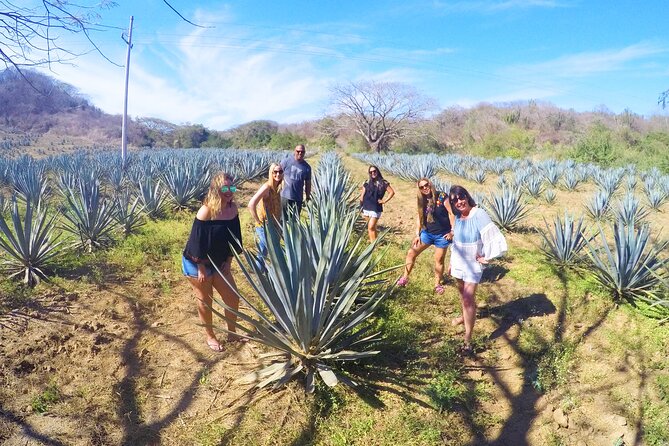 Artisans Town and Agave Distilled Factory - Accessibility Information