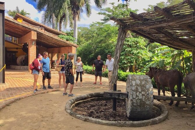 Artisans Town and Agave Distilled Factory - Frequently Asked Questions