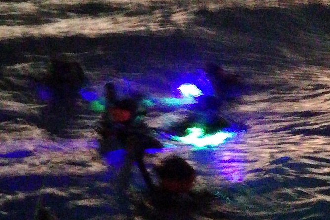 Aruba 1-Tank Guided UV Night Dive for Certified Divers With Own Equipment - Meeting and Pickup