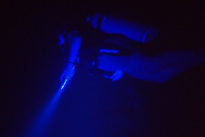 Aruba 1-Tank Guided UV Night Dive for Certified Divers With Rental Equipment - Reviews and Ratings of the Experience
