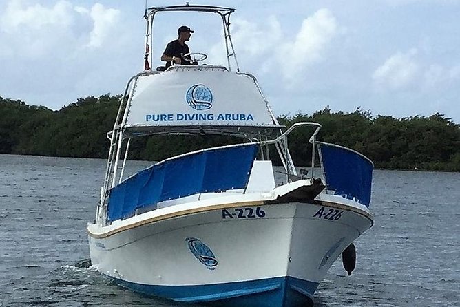 Aruba 1-Tank Night Dive With Rental Gear for Certified Divers - Booking Your Stay