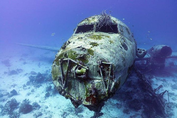 Aruba 2-Tank Guided Dive for Certified Divers With Own Equipment - Meeting and Pickup Logistics