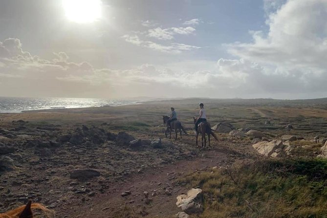 Aruba 2,5 Hrs Horseback Riding for Advanced Riders - Opportunities and Highlights