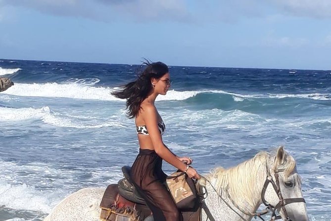 Aruba 2,5 Hrs Horseback Riding for Advanced Riders - Logistics and Inclusions