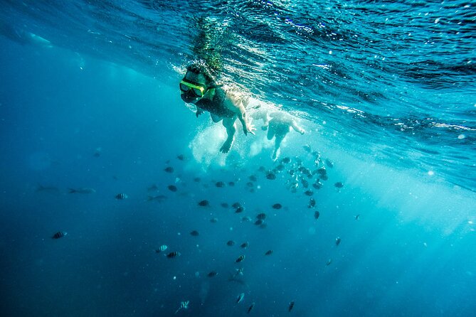 Aruba Afternoon Snorkel Sail Aboard Palm Pleasure Catamaran - Crew and Amenities