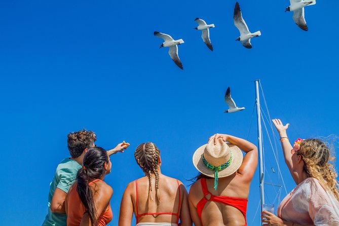 Aruba Afternoon Snorkel Sail Aboard Palm Pleasure Catamaran - Traveler Feedback