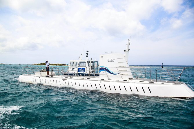 Aruba Atlantis Submarine Tour - Accessibility and Additional Information