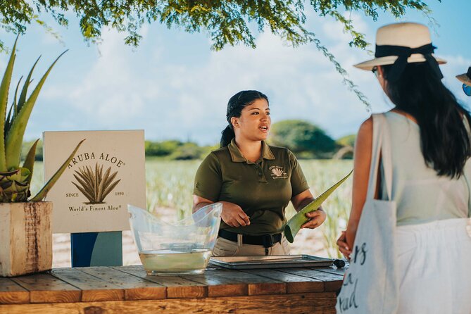 Aruba Baby Beach Express Tour - Positive Customer Feedback