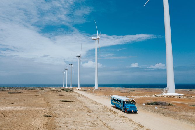 Aruba Beach and Cave Island Tour - Guest Feedback