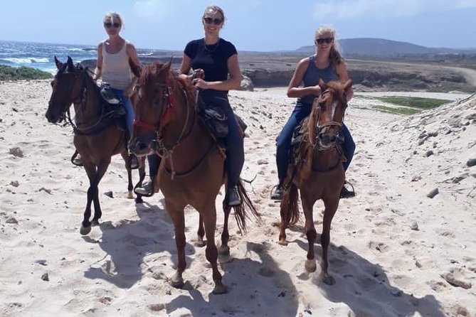 Aruba Countryside: Horseback Adventure to Urirama Cove - Participant Guidelines