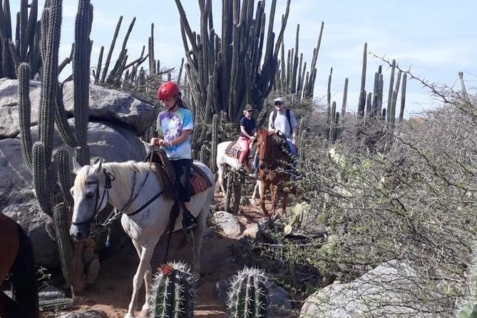 Aruba Countryside: Horseback Adventure to Urirama Cove - Skill Level and Equipment