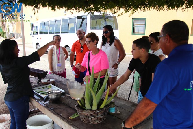 Aruba Countryside Tour - Meeting and Pickup
