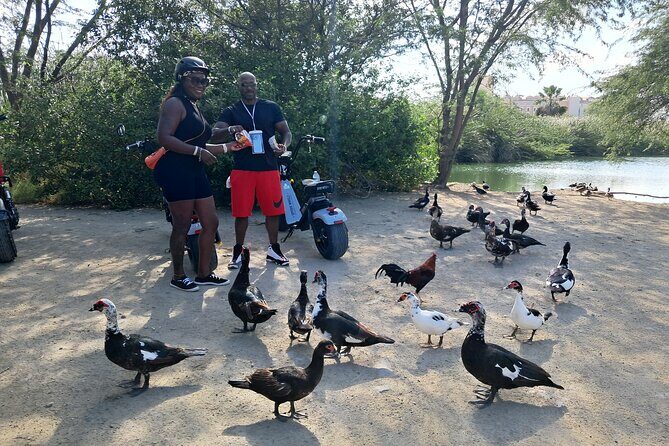 Aruba Electric Scooter Rental (1 or 2-seater) - Who Will Love This Experience?