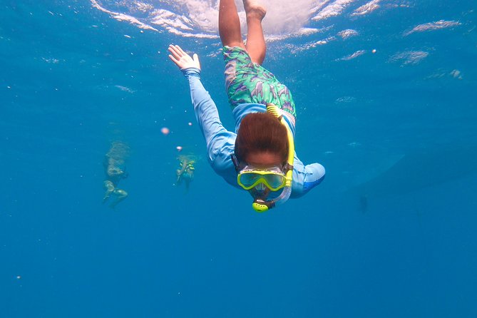 Aruba Element Private Boat Charter (After-Lounge) - Snorkeling Locations and Activities