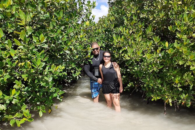 Aruba Glass Bottom Kayak Tour Through the Mangrove Forest - Tour Details and Inclusions