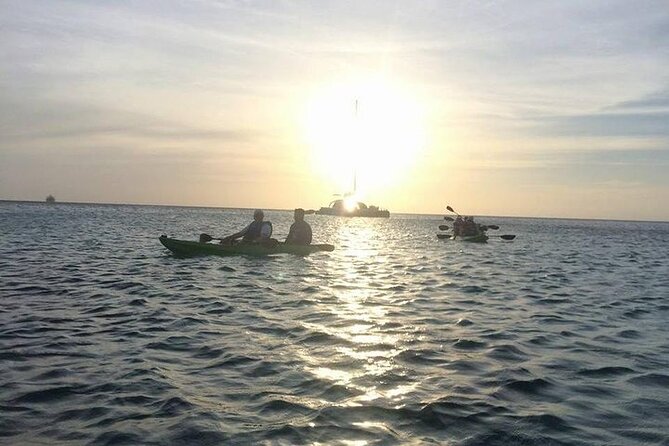 Aruba Glass Bottom Kayak Tour Through the Mangrove Forest - Guided Tour Highlights