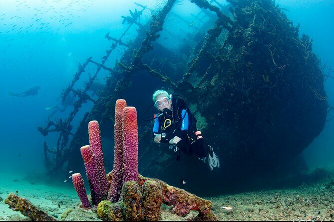 Aruba Guided Night Dive Adventure: Shallow Reefs or Shipwrecks - FAQ