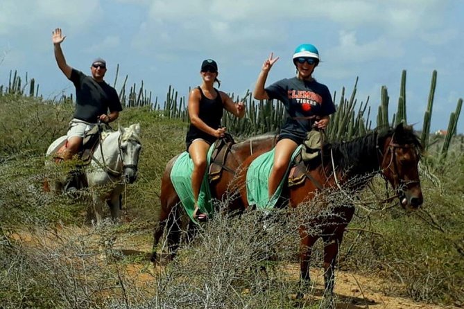 Aruba Horseback Riding Tour to Alto Vista Chapel - Ride Experience