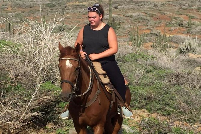 Aruba Horseback Riding Tour to Hidden Lagoon - Customer Feedback Highlights