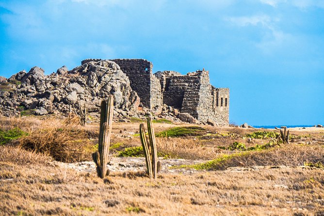 Aruba Island Sightseeing Tour - Tour Experience and Guides