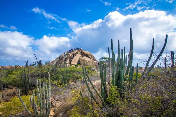 Aruba Island Sightseeing Tour Plus Arashi Beach Visit - Recommendations