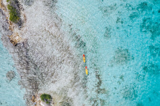 Aruba Lagoon Cruise With Onboard Chef and Signature Cocktails - Accessibility and Participation Details