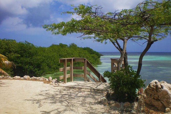 Aruba Mangel Halto and Baby Beach Snorkeling Guided Tour - Itinerary and Activities