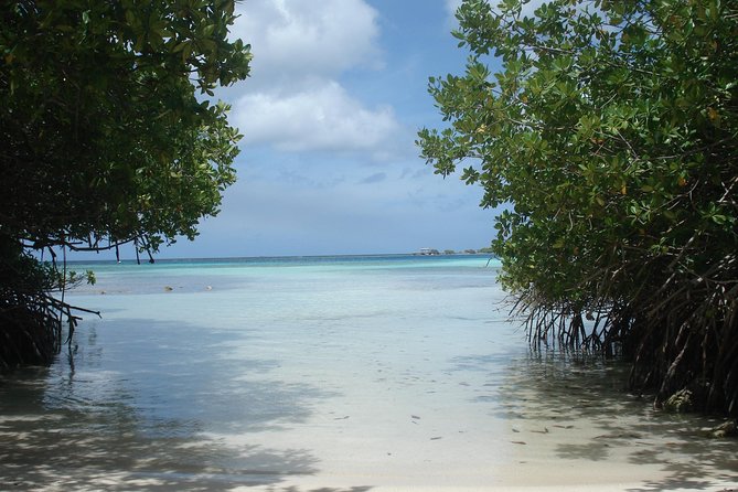 Aruba Mangel Halto and Baby Beach Snorkeling Guided Tour - Health and Safety Guidelines