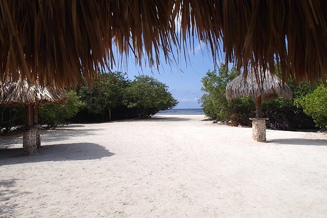 Aruba Mangel Halto and Baby Beach Snorkeling Guided Tour - Customer Feedback