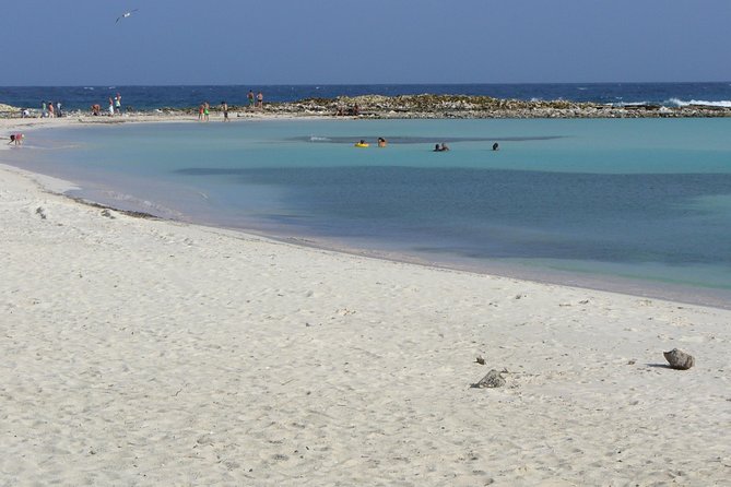 Aruba Mangel Halto and Baby Beach Snorkeling Guided Tour - Experience Recommendations