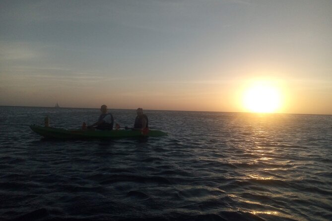 Aruba Night Glass Kayak Tour - Inclusions and Exclusions