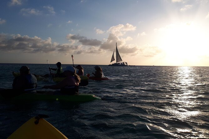 Aruba Night Glass Kayak Tour - Health and Safety Restrictions
