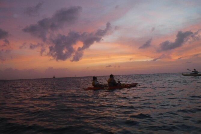 Aruba Night Glass Kayak Tour - Reviews Summary