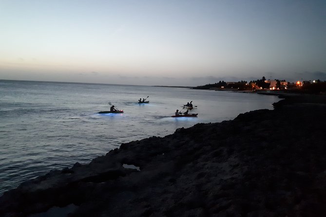 Aruba Night Glass Kayak Tour - Before the Tour