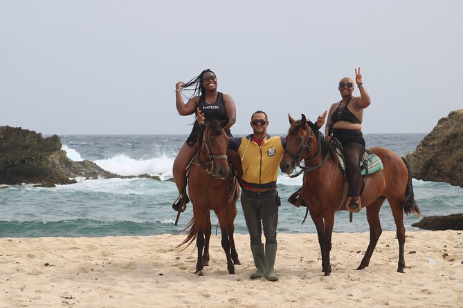 Aruba North Coastline: Small-Group Horseback Riding Tour - Tour Experience and Reviews