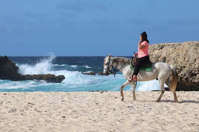 Aruba North Coastline: Small-Group Horseback Riding Tour - Cultural and Historical Insights