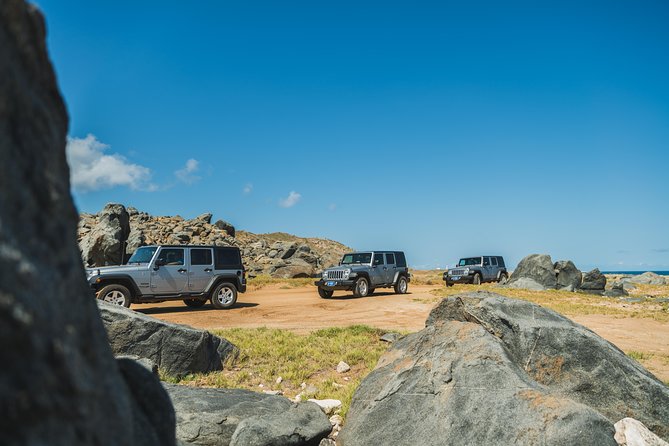 Aruba Off-Road Adventure: Jeep Tour and Optional Snorkel Cruise - Guest Experiences and Feedback