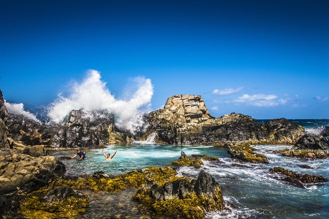Aruba Off-Road Safari Tour to Natural Pool - Vehicle and Guidance