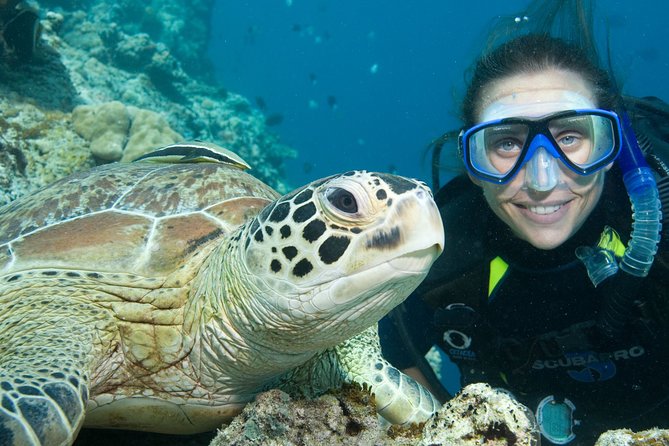 Aruba One or Two Tank Scuba Dive - Customer Feedback and Experiences