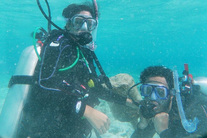 Aruba PADI Scuba Diving Program Non Certified Divers - Underwater Exploration and Marine Life