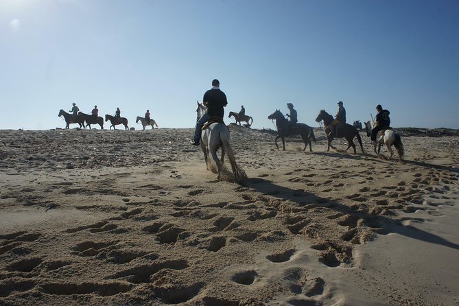 Aruba Private, 2 Hour Horseback Riding Tour For Advanced Riders - Safety Gear and Purchases