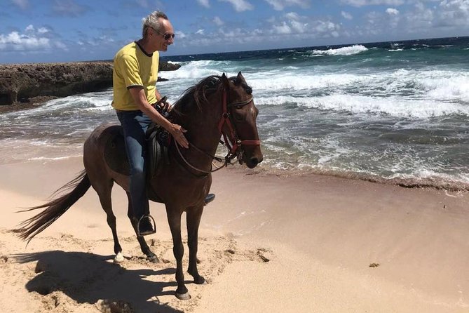 Aruba Private, 2 Hour Horseback Riding Tour For Advanced Riders - Meeting Point and Confirmation
