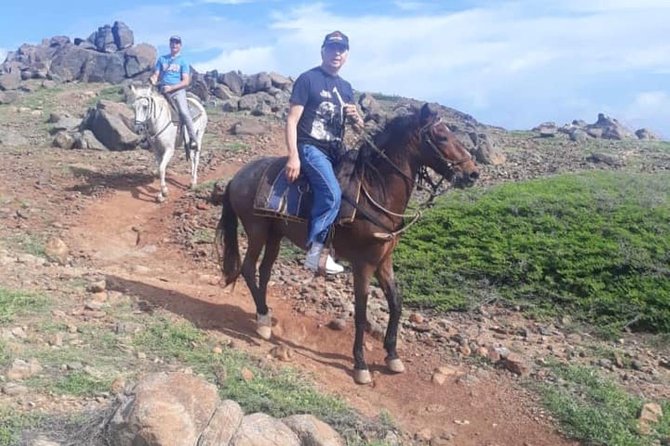 Aruba Private, 2 Hour Horseback Riding Tour For Advanced Riders - Reviews and Feedback