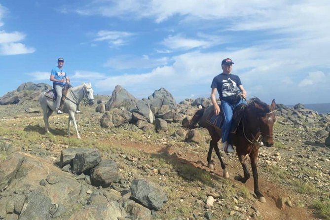 Aruba Private, 2 Hour Horseback Riding Tour For Advanced Riders - Explore Arubas Rugged Northeast