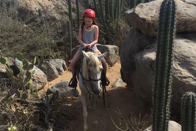 Aruba Private, 2 Hour Horseback Riding Tour For Advanced Riders - Encounter Local Wildlife