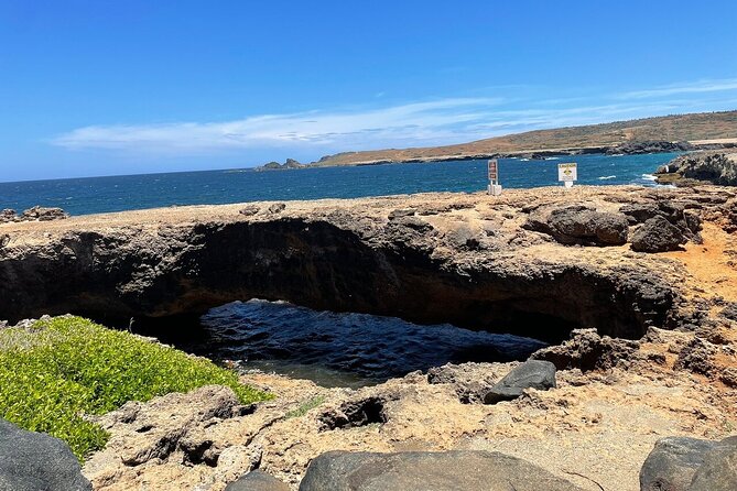 Aruba Private Full Island Tour - Booking Process