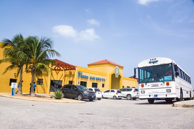 Aruba Private Full Island Tour - Traveler Experiences