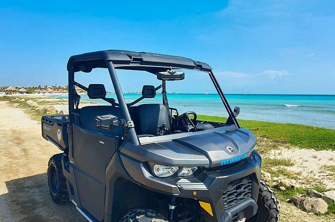 Aruba Rental Explore On Your Own - Pricing & Value